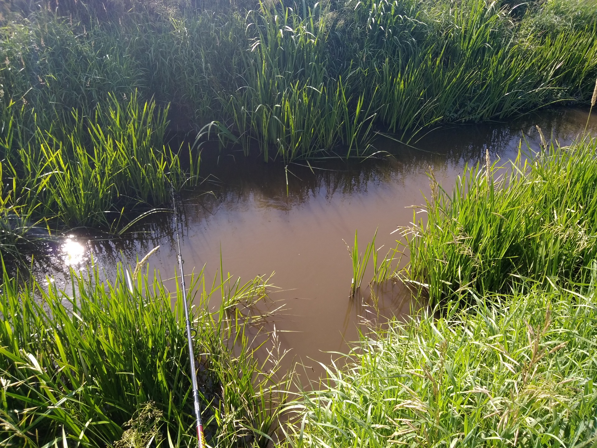 Akár csak plasztik csalival megmártogatva